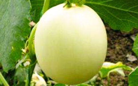 �茑��ٝ����ϵľ���320��