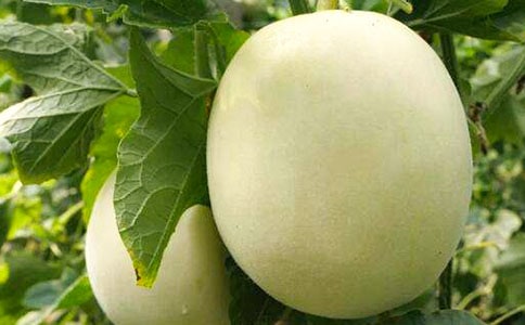 �P(gu��n)����ϵ�����300��