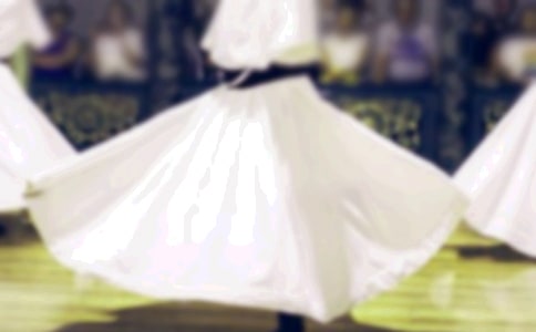 會“跳舞”的葡萄作文