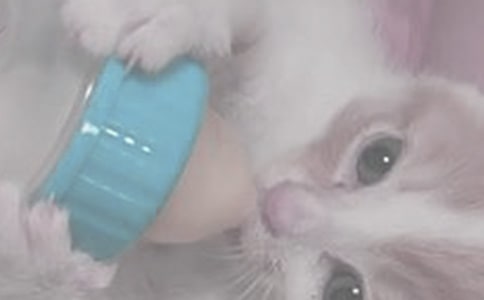 ι��ע��Ҫ�c-ҹ�gι��ע�����