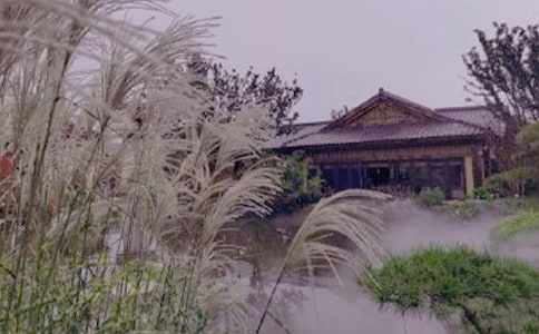 ��ӛ���ģ���Ȫ��ӛ��ͨ��25ƪ��