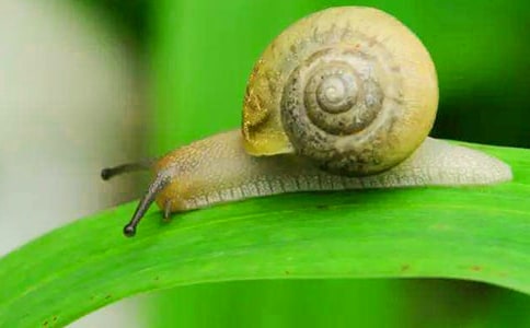 ΁ţ���^��