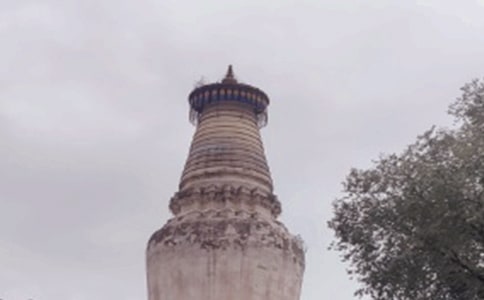 �����_(t��i)ɽ����10ƪ