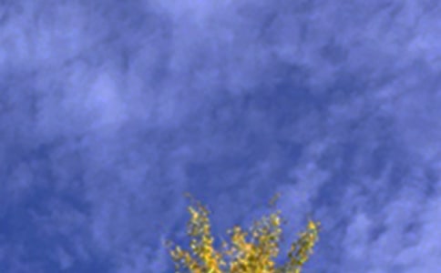 �P(gu��n)�ڜ�ܰ�簲���Z��ȫ50�侫�x