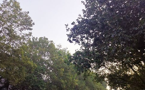 ����Ȧ�簲�Z�40��