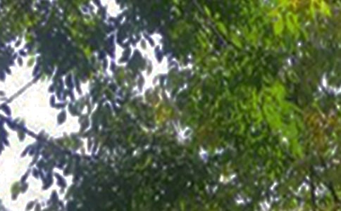 ��(l��)־�簲�Z�29��