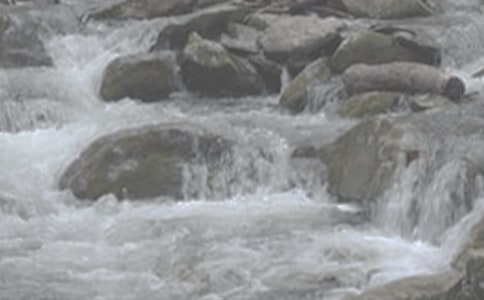 СϪ������������[��(y��u)�x9ƪ]