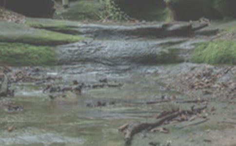 СϪ������������9ƪ