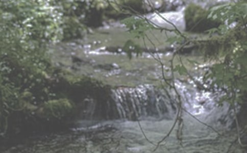 �P(gu��n)���xСϪ���ĸ��и�����1000��