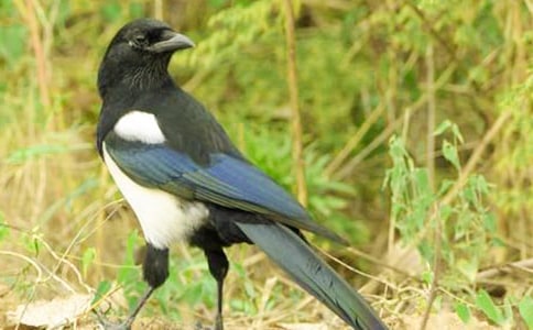 ϲ�o�Ľ�(j��ng)�v�W������