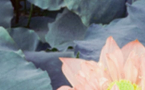 ���������`�V�Z�����x90�䣩