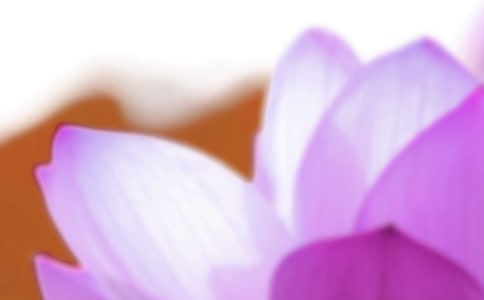 2015�P(gu��n)���������V�Z����ʮ�Ĺ�(ji��)�⡹