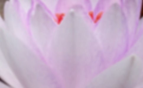 ������ĩ�����x���Pӛ