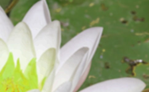 2022�����B(y��ng)���Ľ�(j��ng)�����