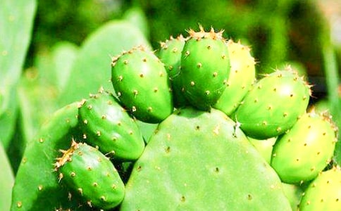 ���ģ���(qi��ng)��������