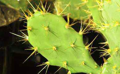 ����������������