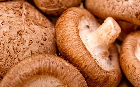 �㹽ُ�N��ͬ����