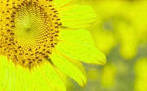 ׷��ꖹ�����տ�