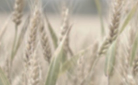 С��ُ(g��u)�N(xi��o)��ͬ������ƪ