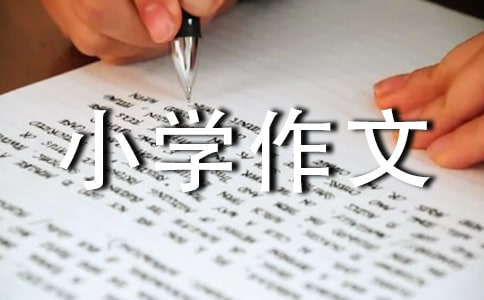 我的狗小學(xué)作文6篇