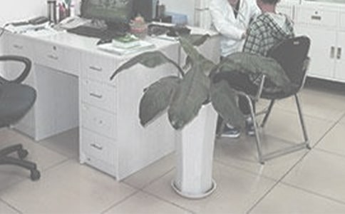 У�t(y��)Ժ�������Y(ji��)����