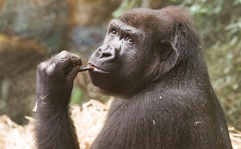 ��������x��