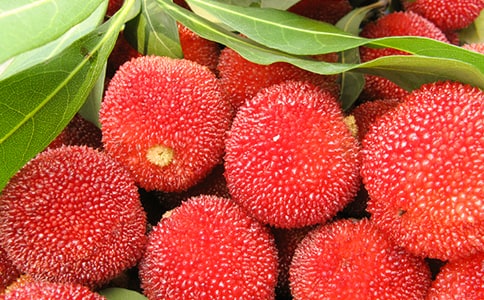 �Ґۼ��l(xi��ng)�ė�÷���ģ�ͨ��30ƪ��