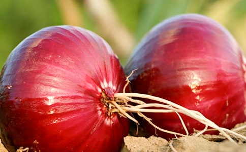 �茑���[�����ģ����x33ƪ��