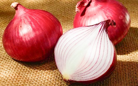 觀察洋蔥的作文