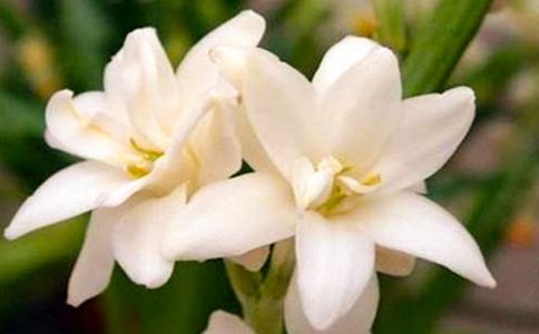 ҹ����600������