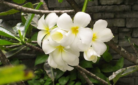 ҹ����С�W(xu��)��400������