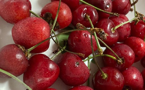 ���һ�������(��(y��u)�x)