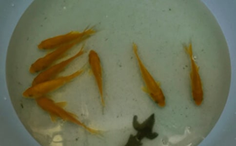 �~��ُ�N��ͬ[��(j��ng)��15ƪ]