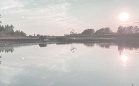 �~�����U��ͬ�����\����4ƪ��