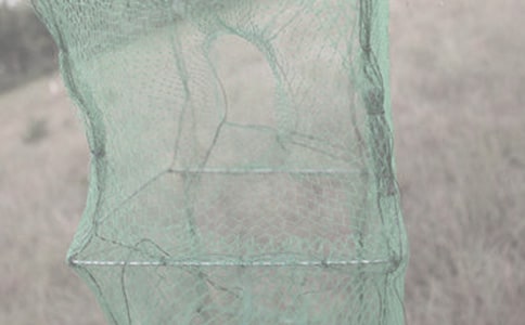 �O�W(w��ng)�m�r(sh��)�Пᳱ