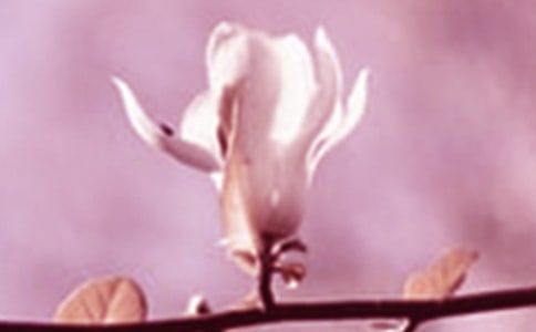 ���m���^����ӛ�����x20ƪ��