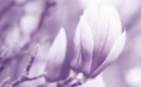 ��������m������