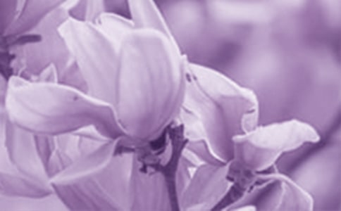 ���m���_���ġ��]��