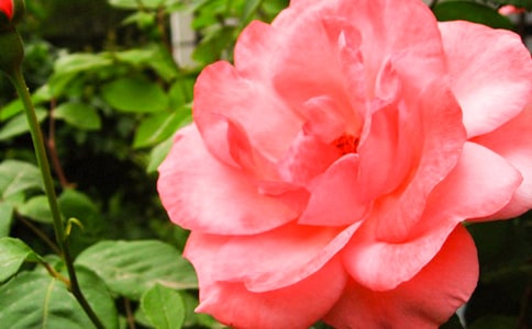 �¼������ġ����T��