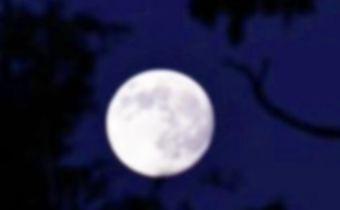 月圓花落人生何作文