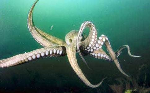 ��(l��)־С���£����������~(y��)