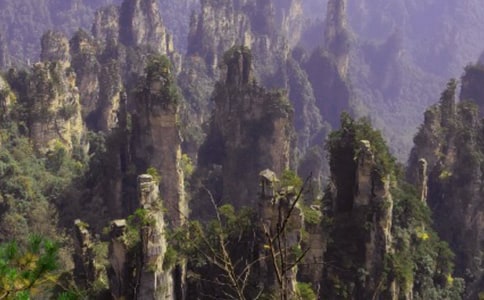 張家界游記-游記作文