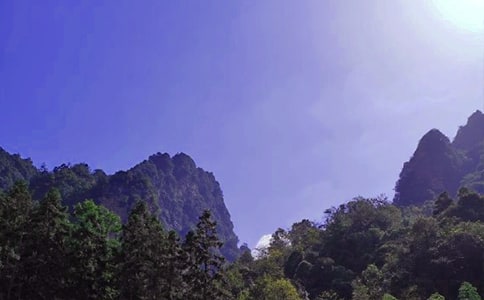 張家界游記作文(通用37篇)