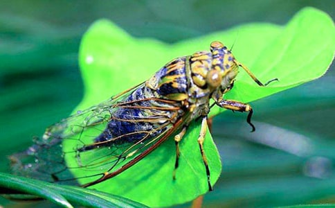 ׽֪��Ȥ������