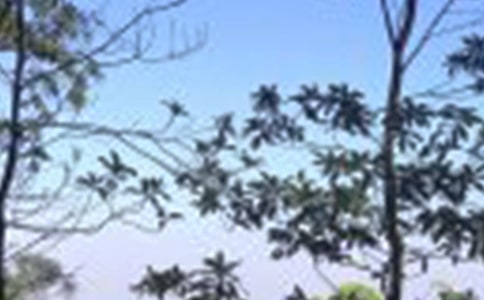 ���������300��