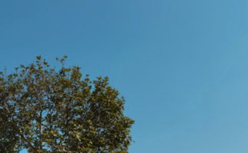 ��ů����������