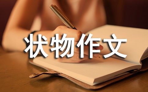 ��������������ô��