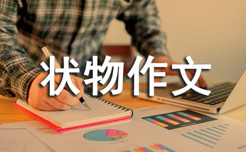 �����x����һ�������ļ���6ƪ