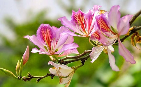 ���G������650��