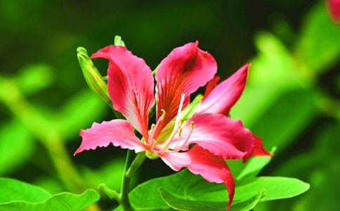 ���G���_С�W(xu��)��(y��u)������